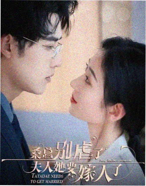 家有九凤第15集