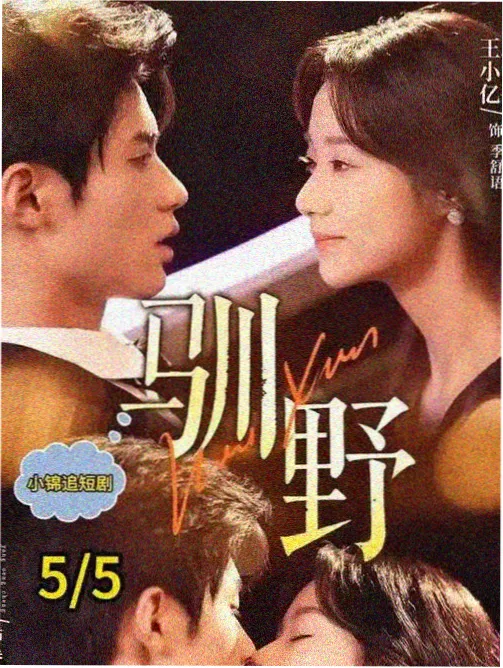 家有九凤第20集